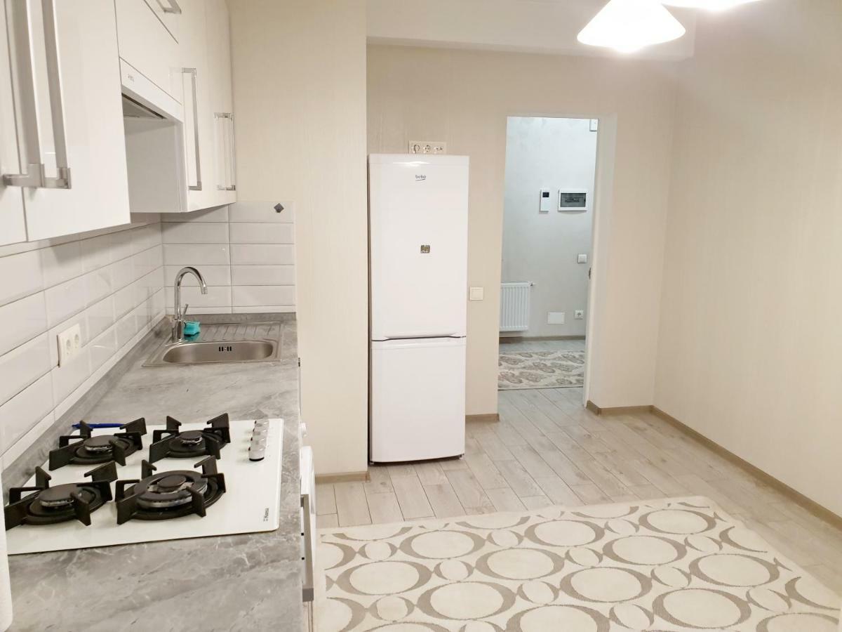 Center Apartment On Albisoara Street Kiszyniów Zewnętrze zdjęcie